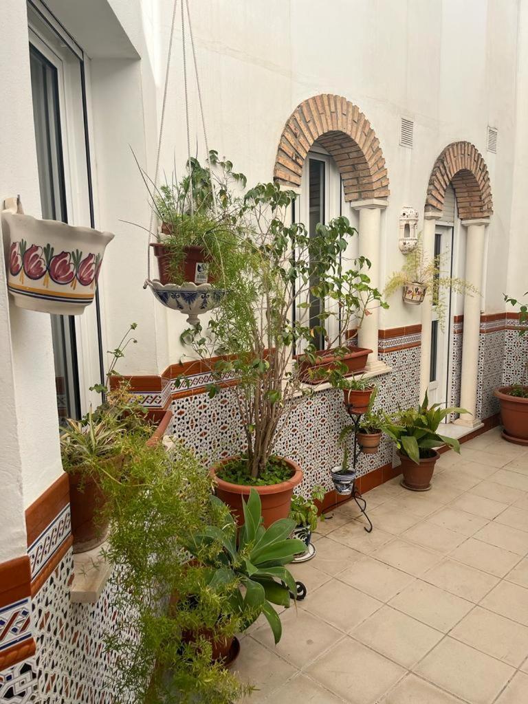 Alyana Hostel Córdoba Kültér fotó