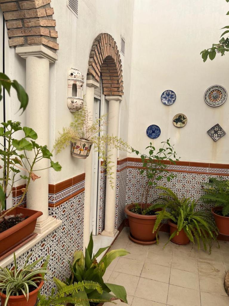 Alyana Hostel Córdoba Kültér fotó